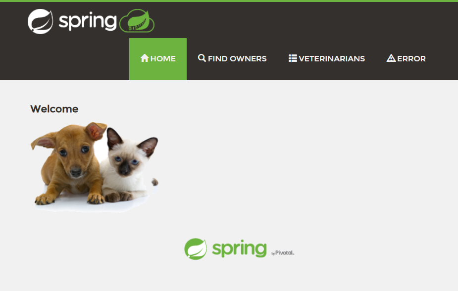 Spring Pet Clinic Homepage