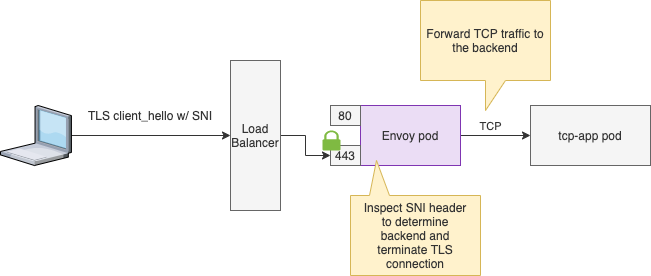 TCP Proxying with TLS